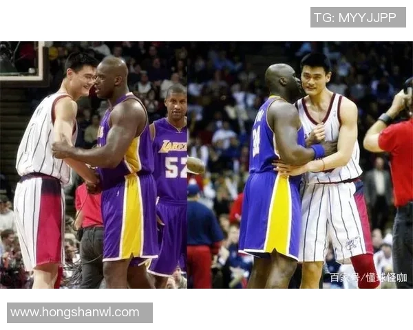 上海大鲨鱼与火箭2017年精彩对决回顾及赛季分析