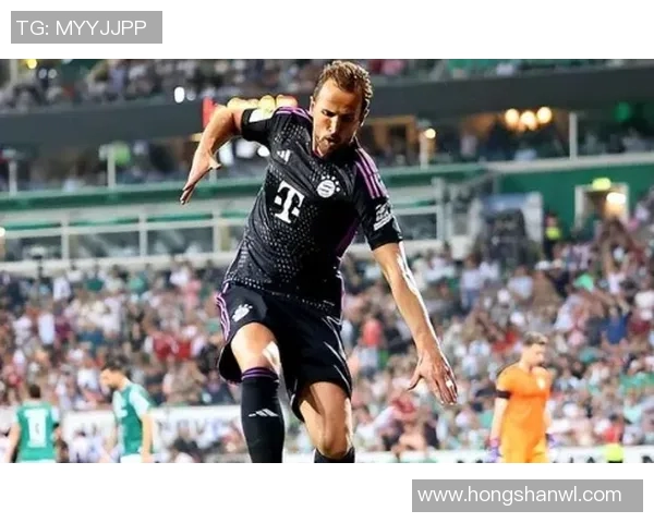 不莱梅与沙克尔激战正酣谁能在德甲赛场上笑到最后